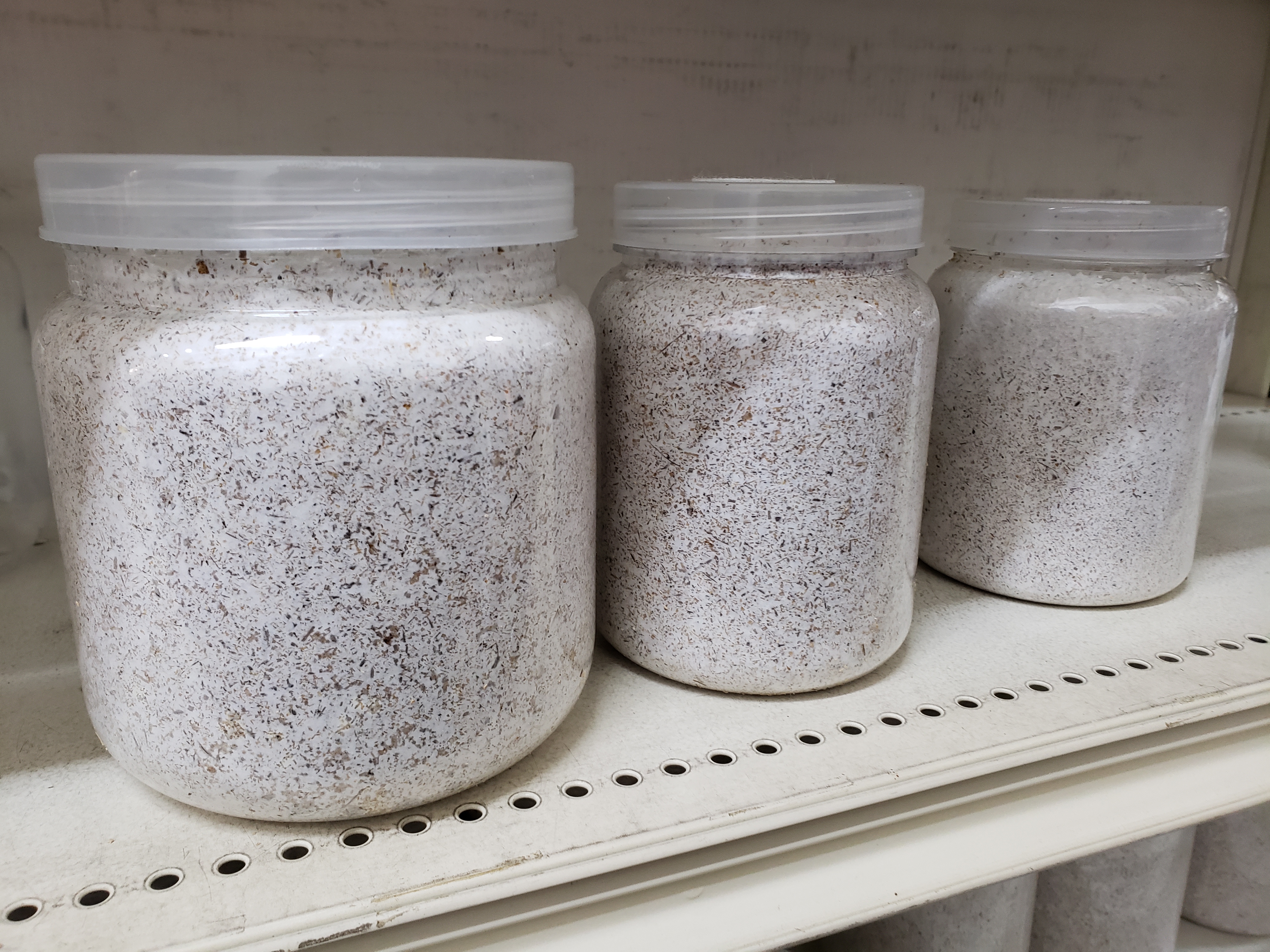 菌糸ビンのサイズ