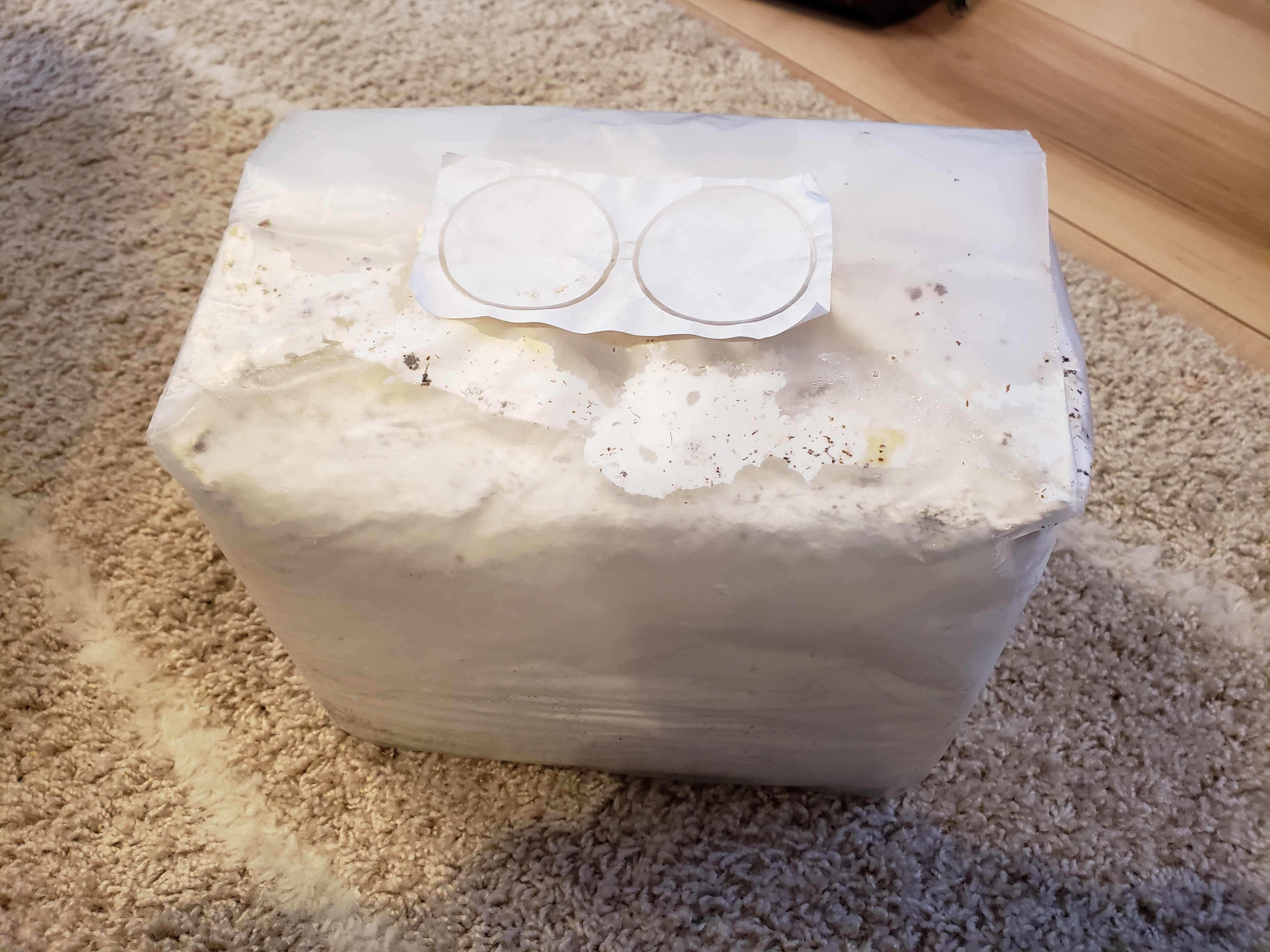 菌糸ブロックときのこ園