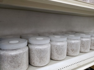 自宅で菌糸瓶を自作してみましょう【まえおき編】