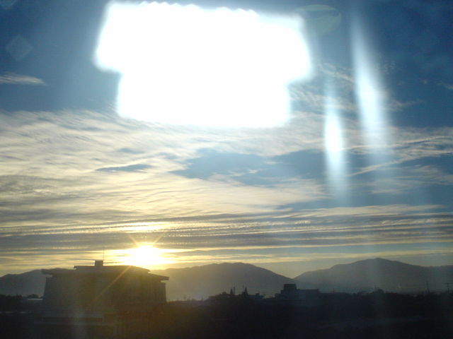 ハルモニアライフ公式HP