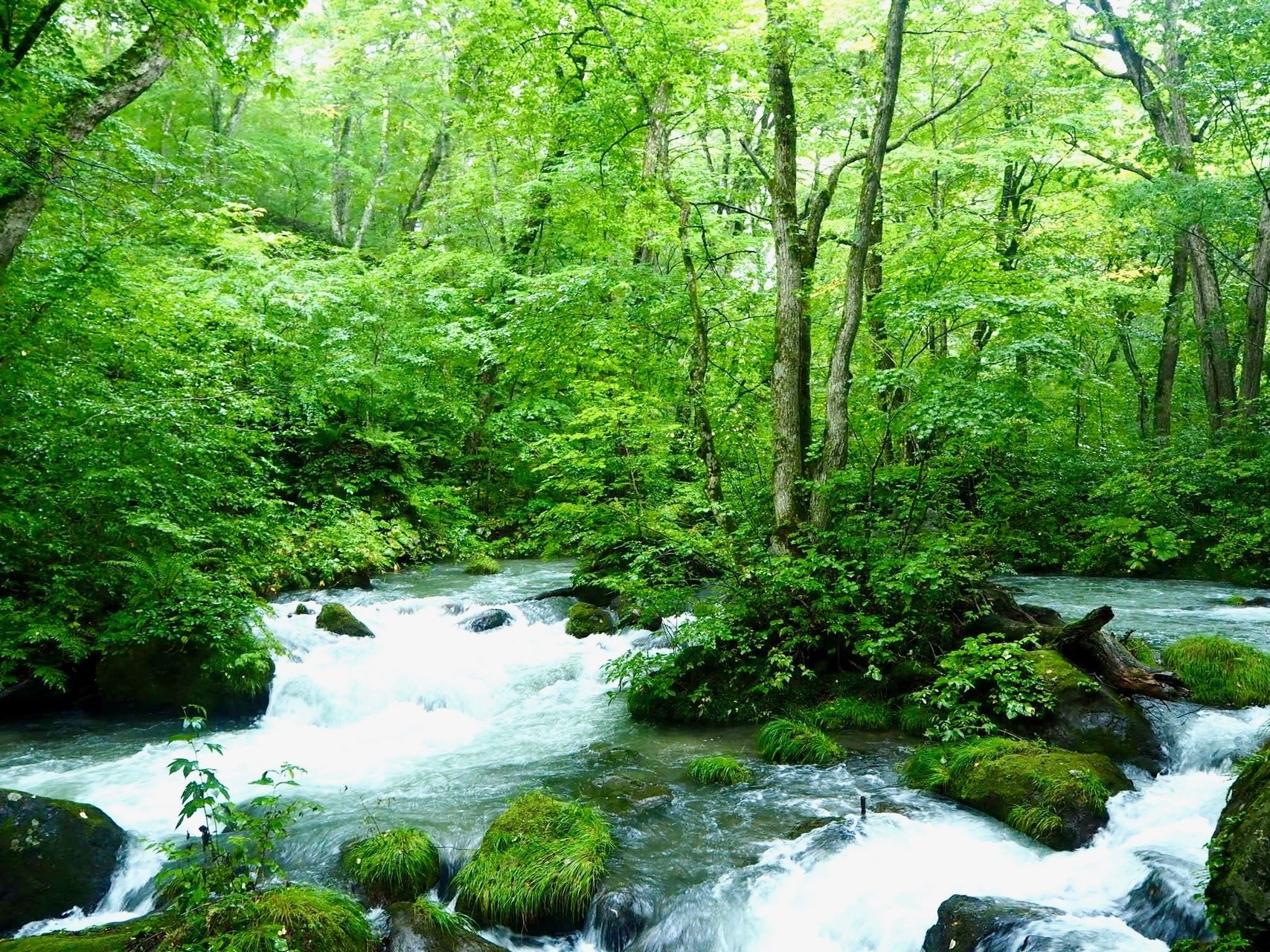 想念観察ノート(無料ダウンロード)