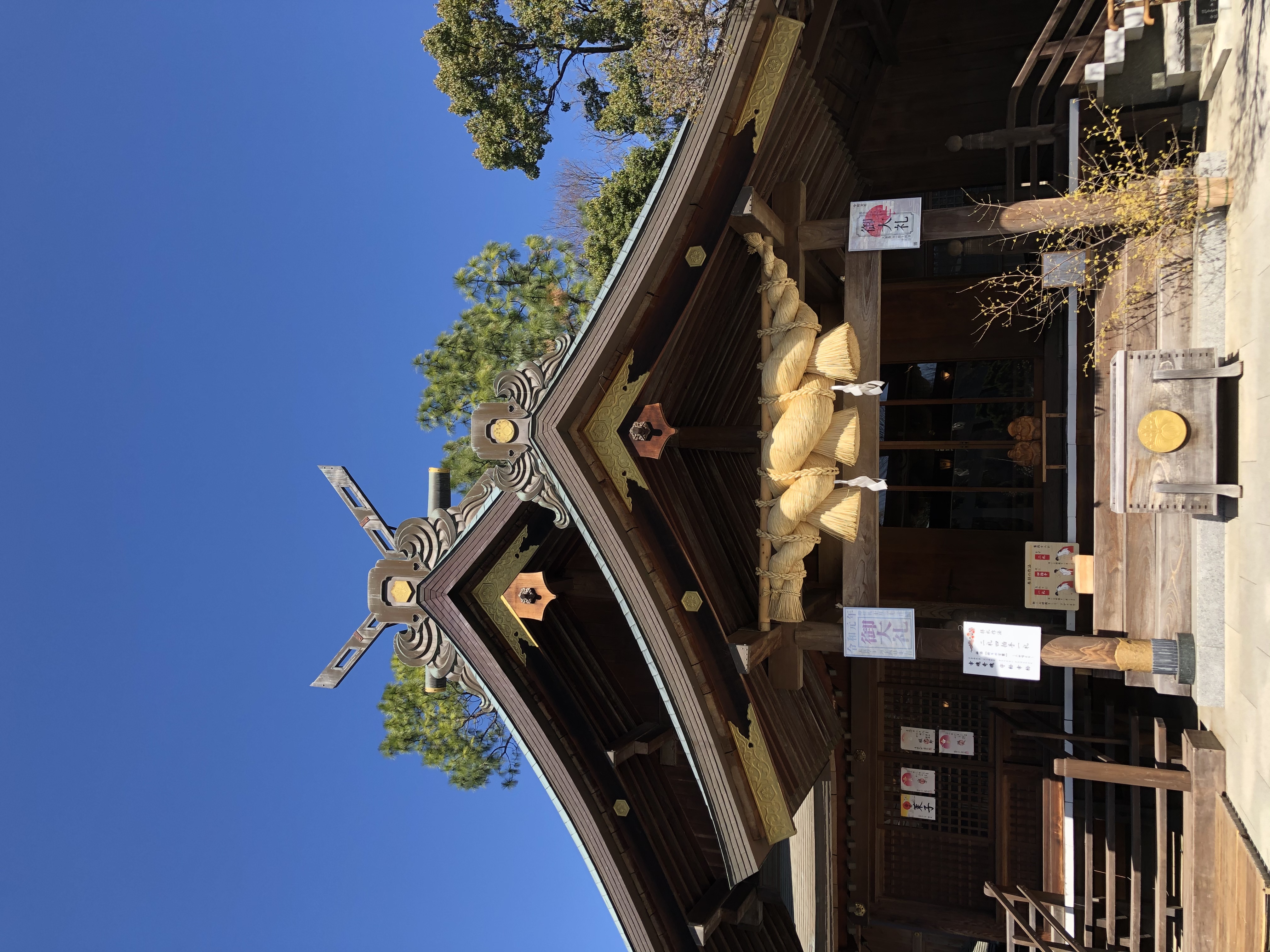 宇宙元旦スタート(^^)
