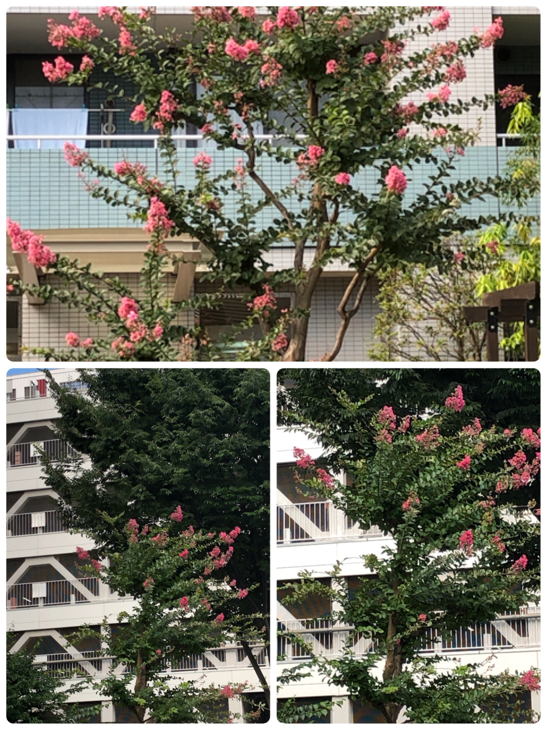 近隣紹介 その⑤