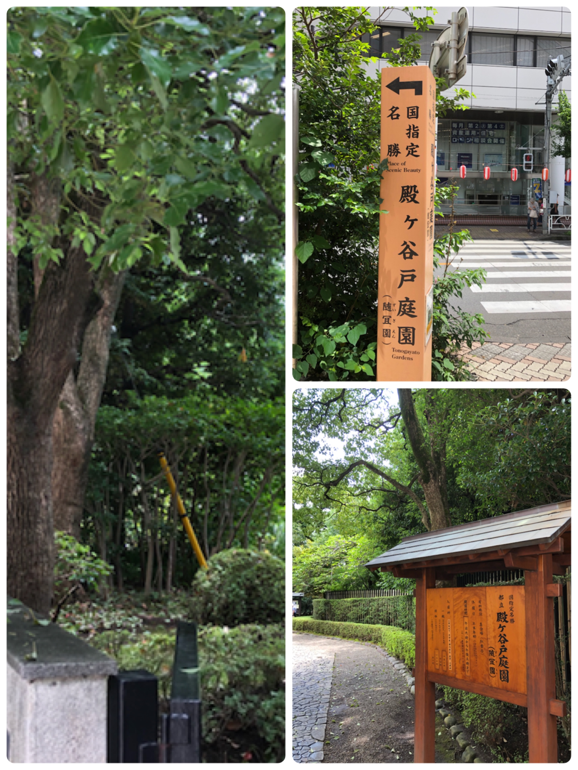 近隣紹介 東京都国分寺市