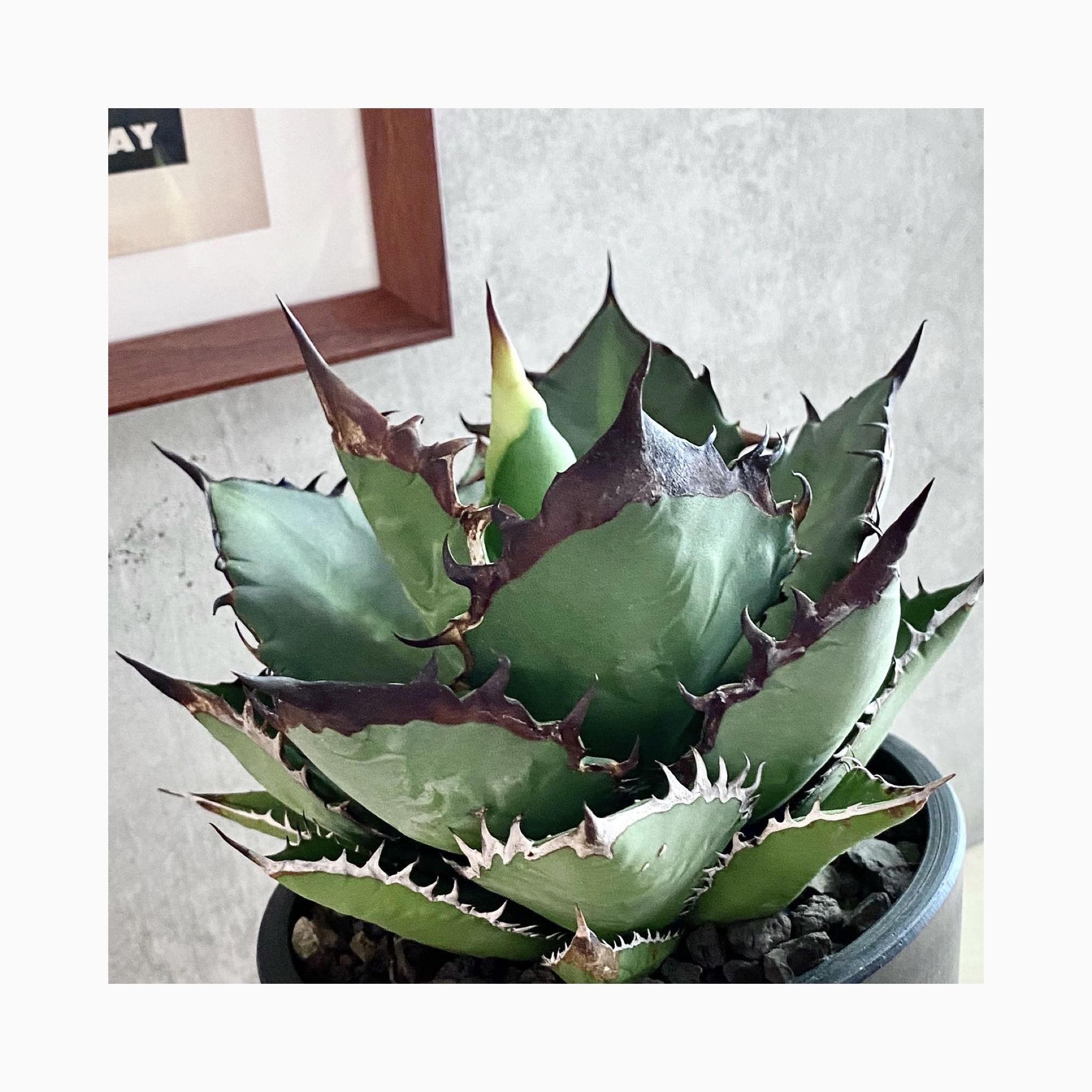 🌿photo update🌿