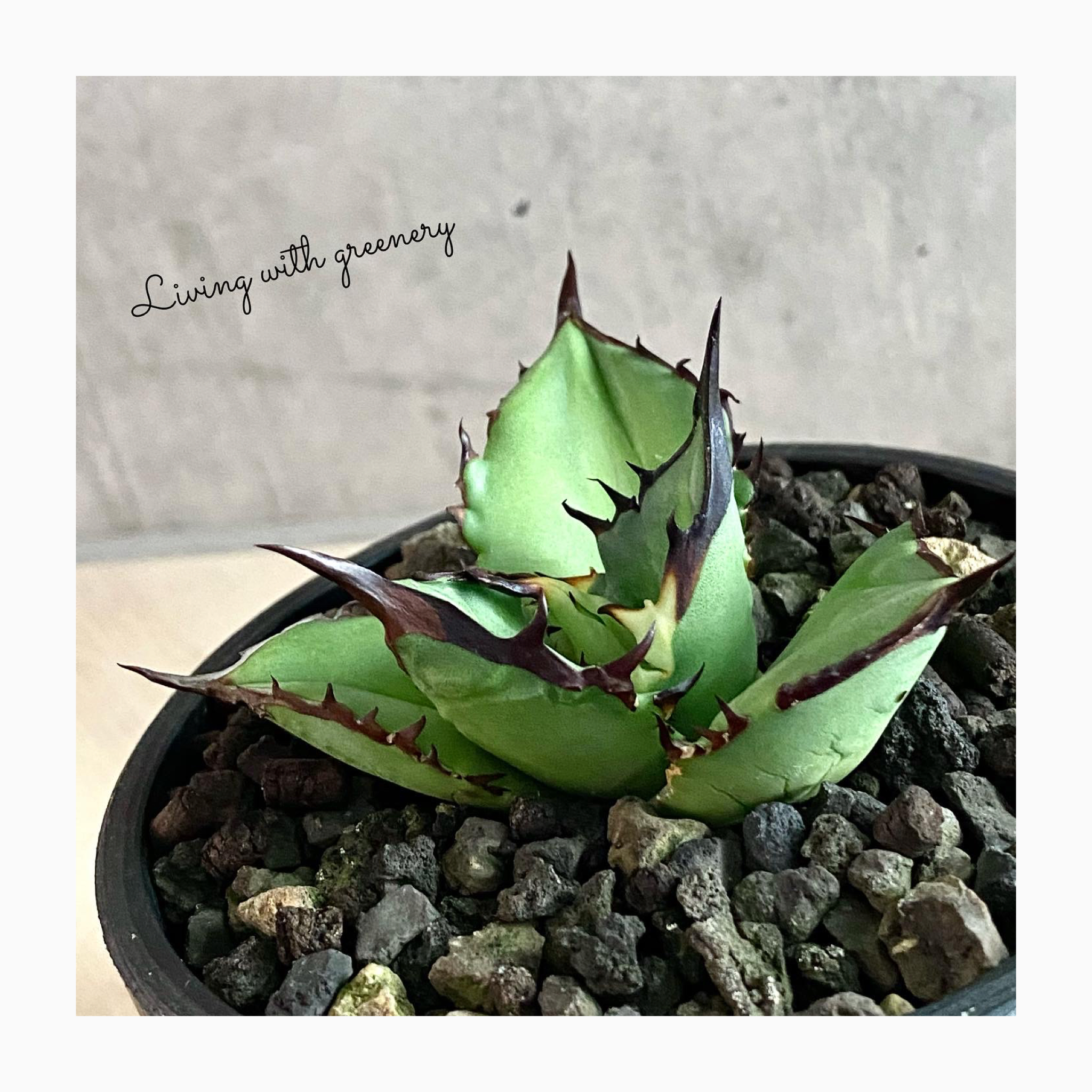 🌿photo update🌿