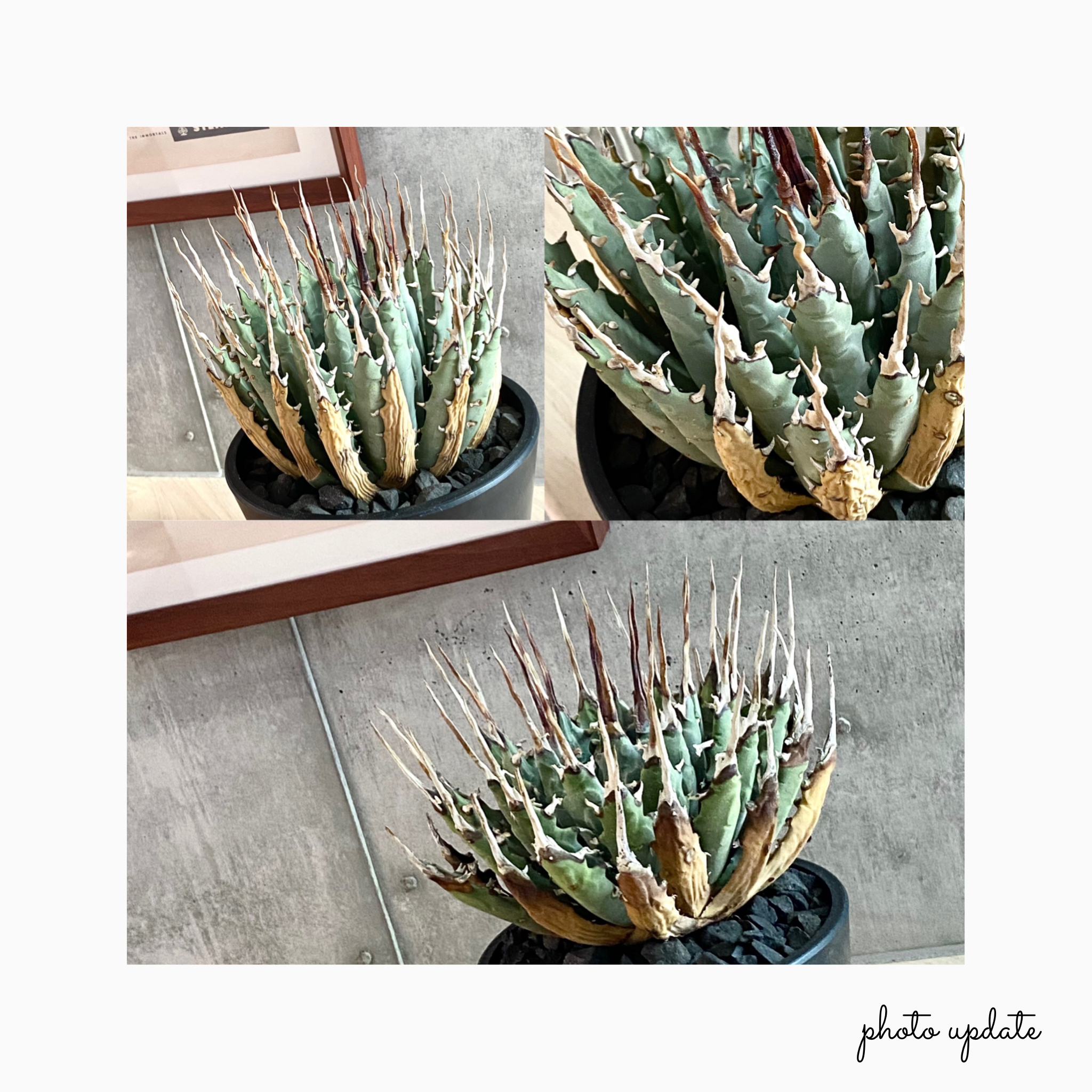 🌿photo update🌿