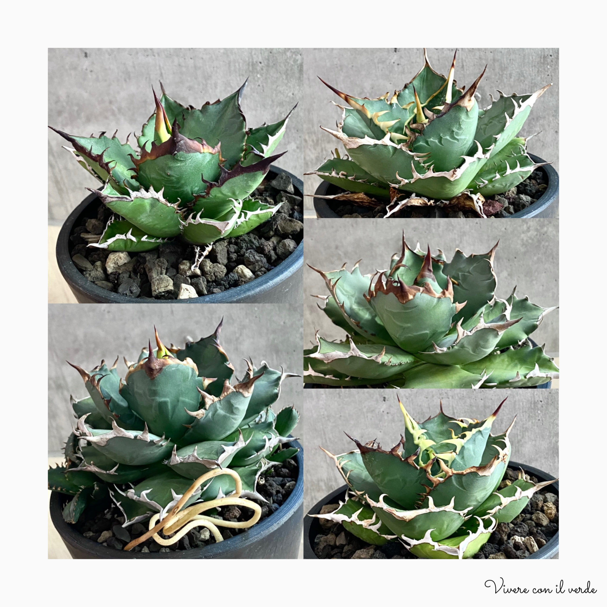 🌿photo update🌿