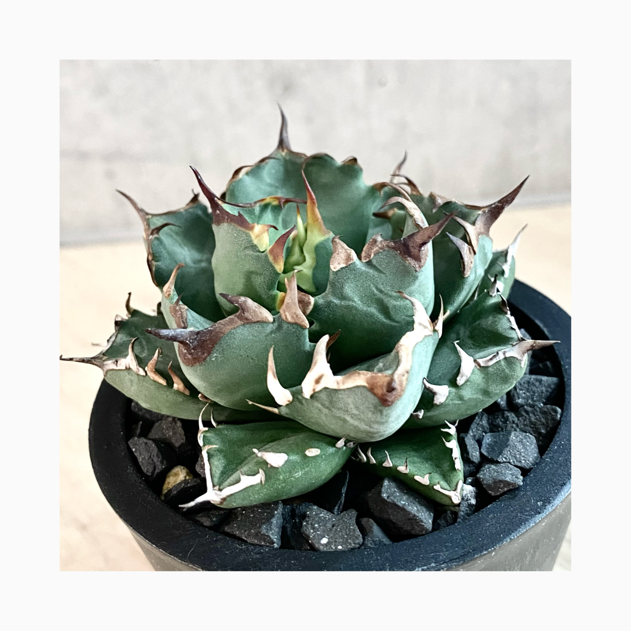 🌿photo update🌿