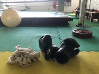 動いてる