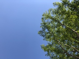 空が青い