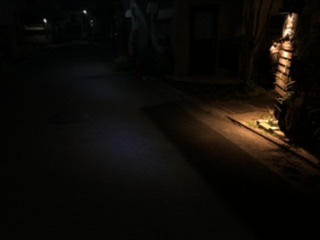 夜はこれから
