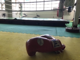 動くところ