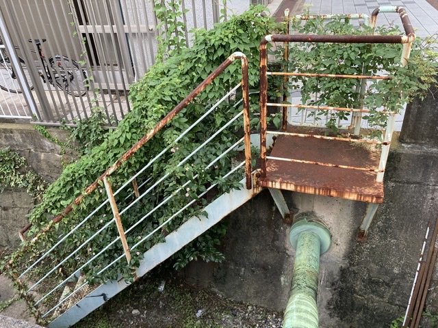 通る道