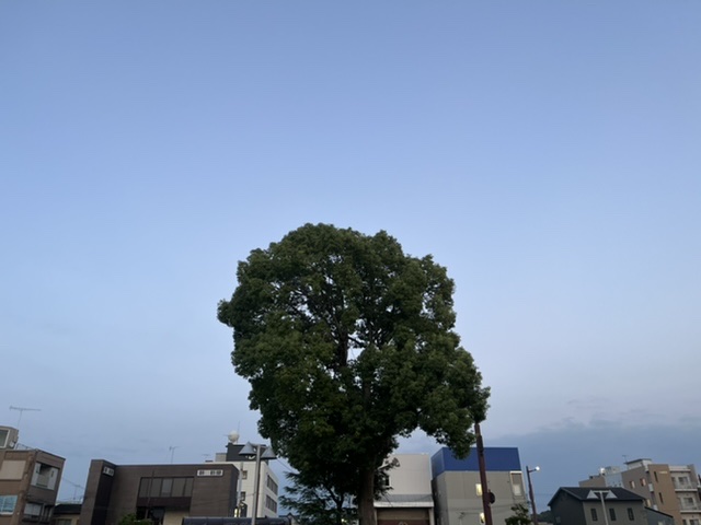 夕方の高松メッサ