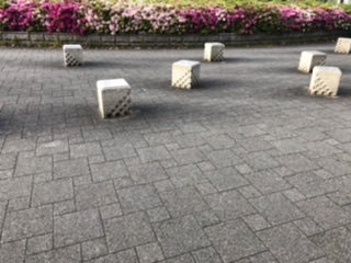ツツジ