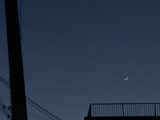 青