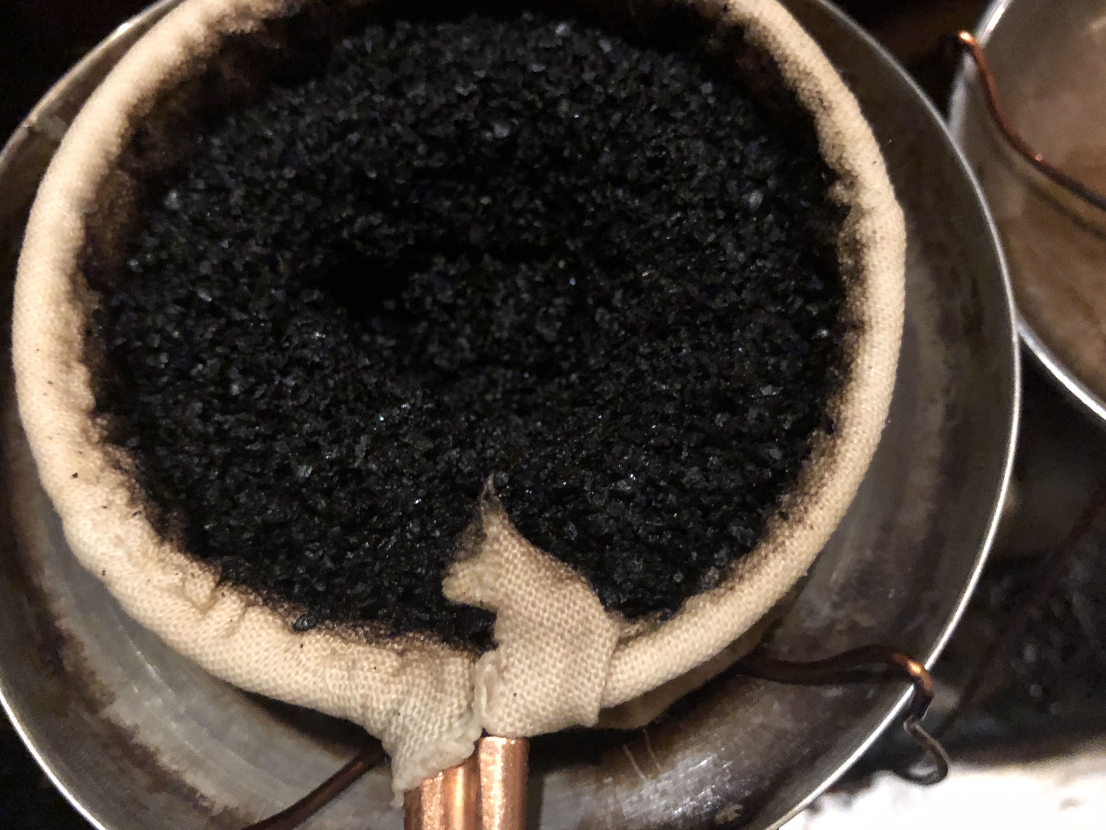 野生の中で