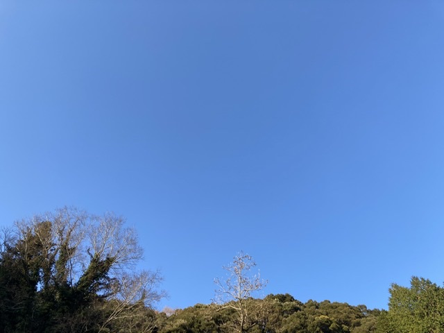焚き火