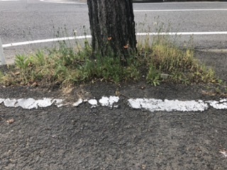 朝にポスト