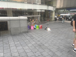 もくれんへ還る