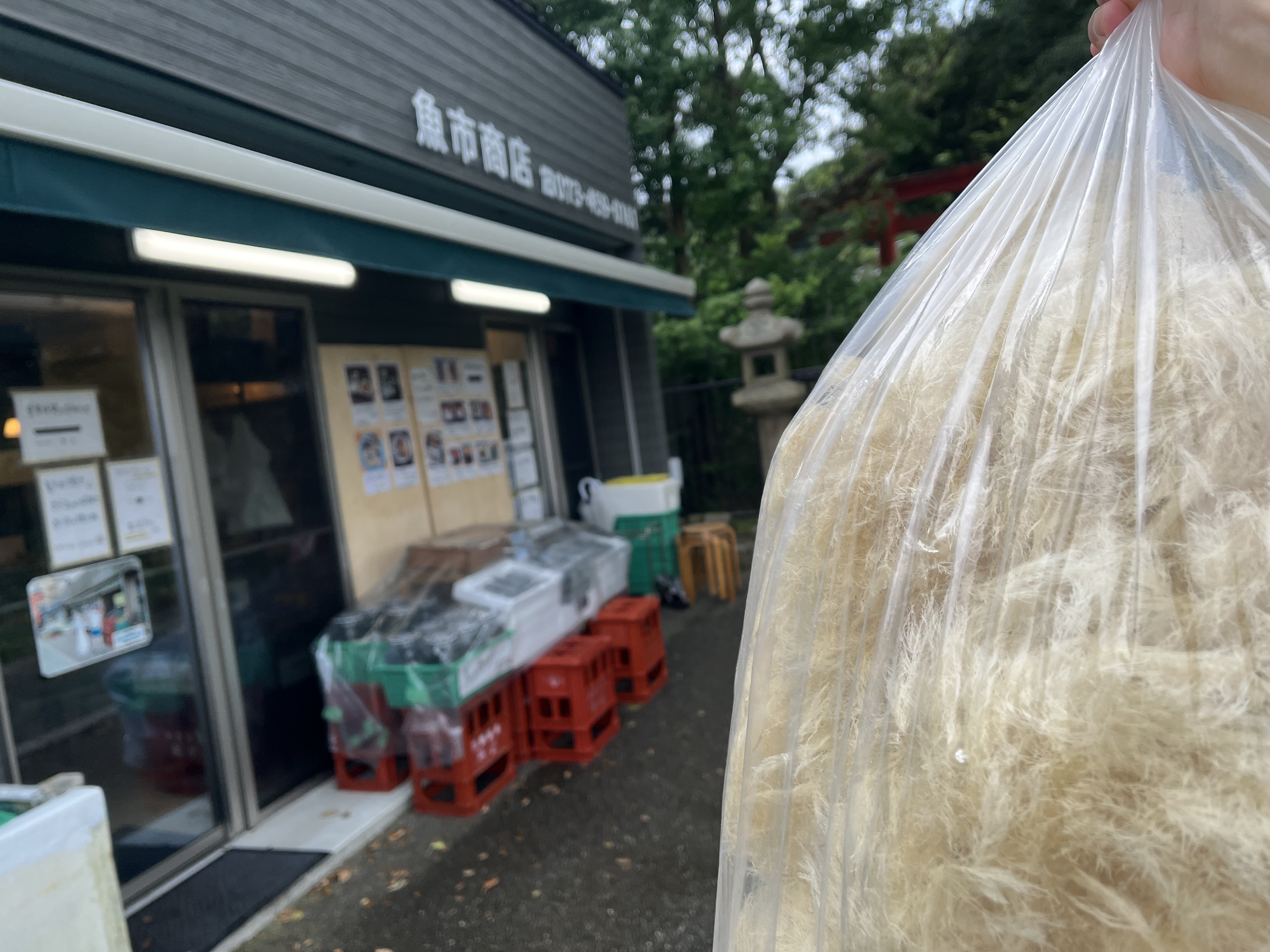 テングサンポ