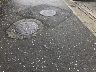 葉桜の頃
