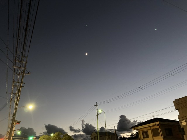 海の星の聖母