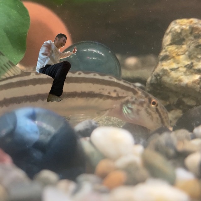 サブカルチャー