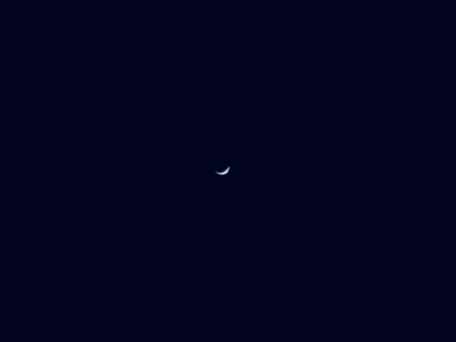 動画あれこれ