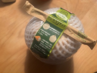 資料提出