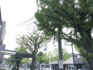 未知の旅
