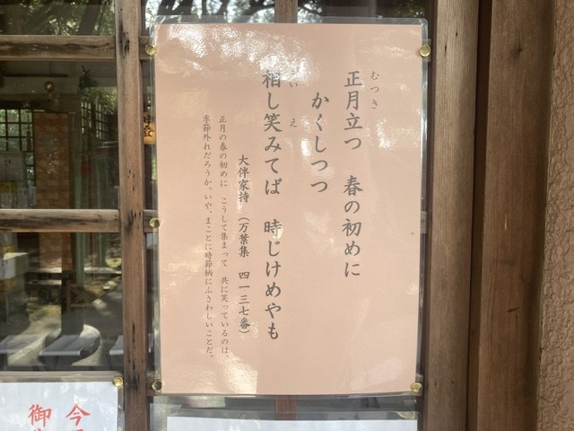 大きな木
