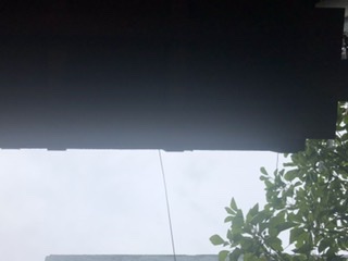 1000年の雨