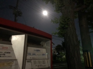 月夜に歩く