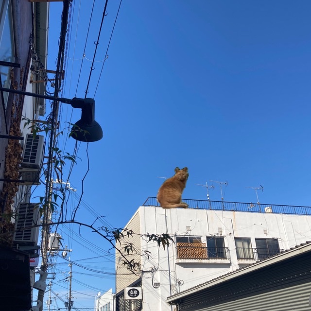経過