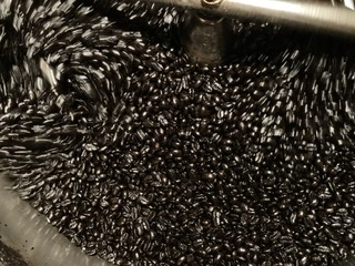 動画を観て