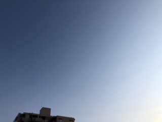 スマトラブルー