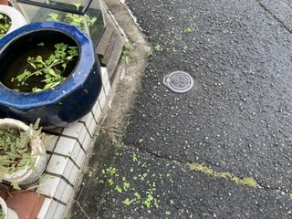 二ツのタンノウ