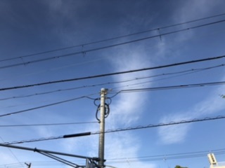 豊かなこと