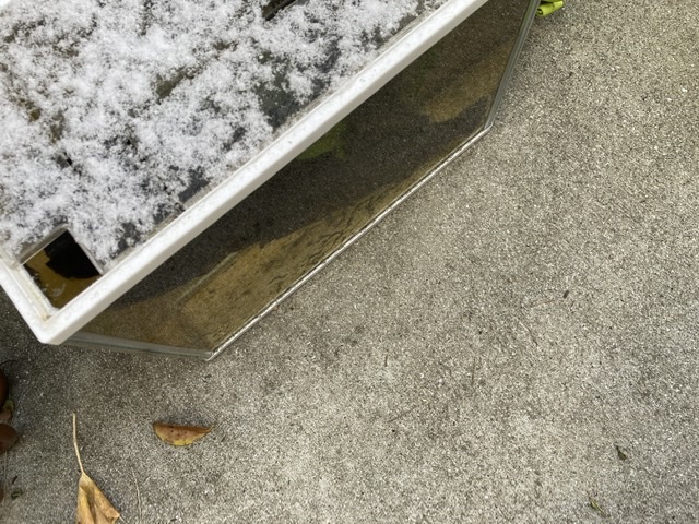 水槽の上の雪