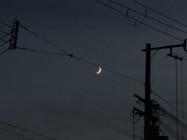 月の夜に