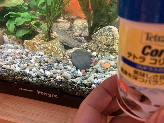 味とブレンド