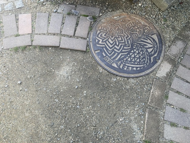 蓋と定点観測