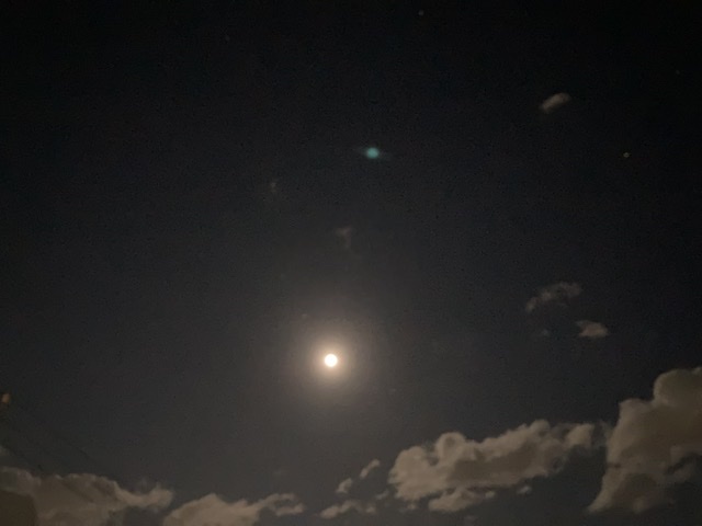 口に含む