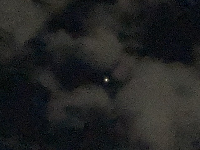 南の空の星