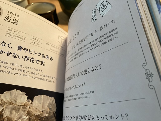 観光について