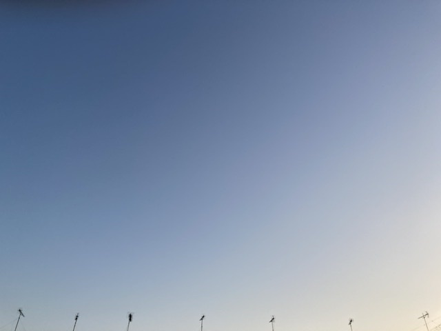 南の空