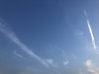 鳥と月