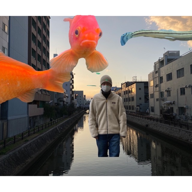 観に行きたいなー
